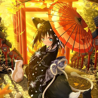 Telegram: view @maopajia